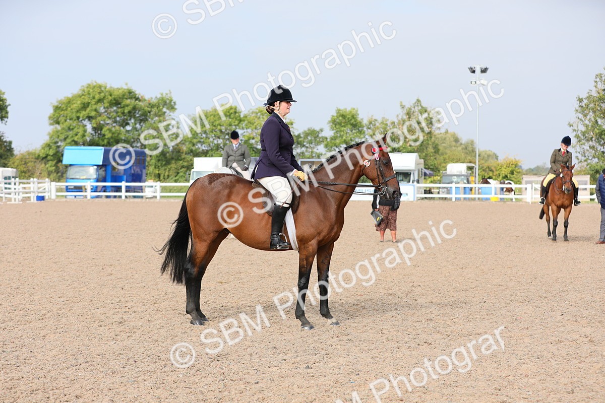 SBM_10899 - Class 304 Ridden Part Bred Horse/Pony
