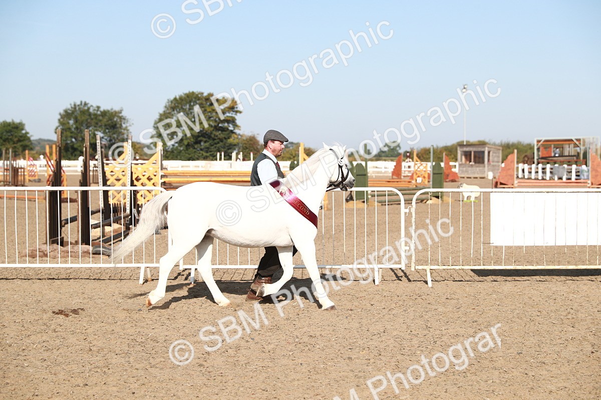 SBM_00162 - Class 40 Best Turned Out IH