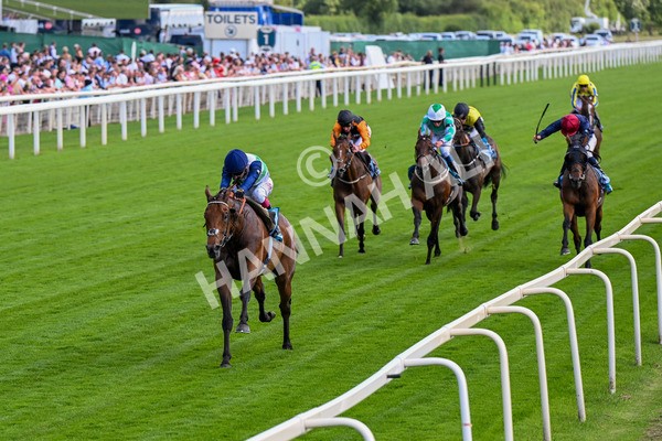 280625-Race 5-Turquino-0457 - Race 5 4.15pm Al Basti Equiworld Dubai Handicap