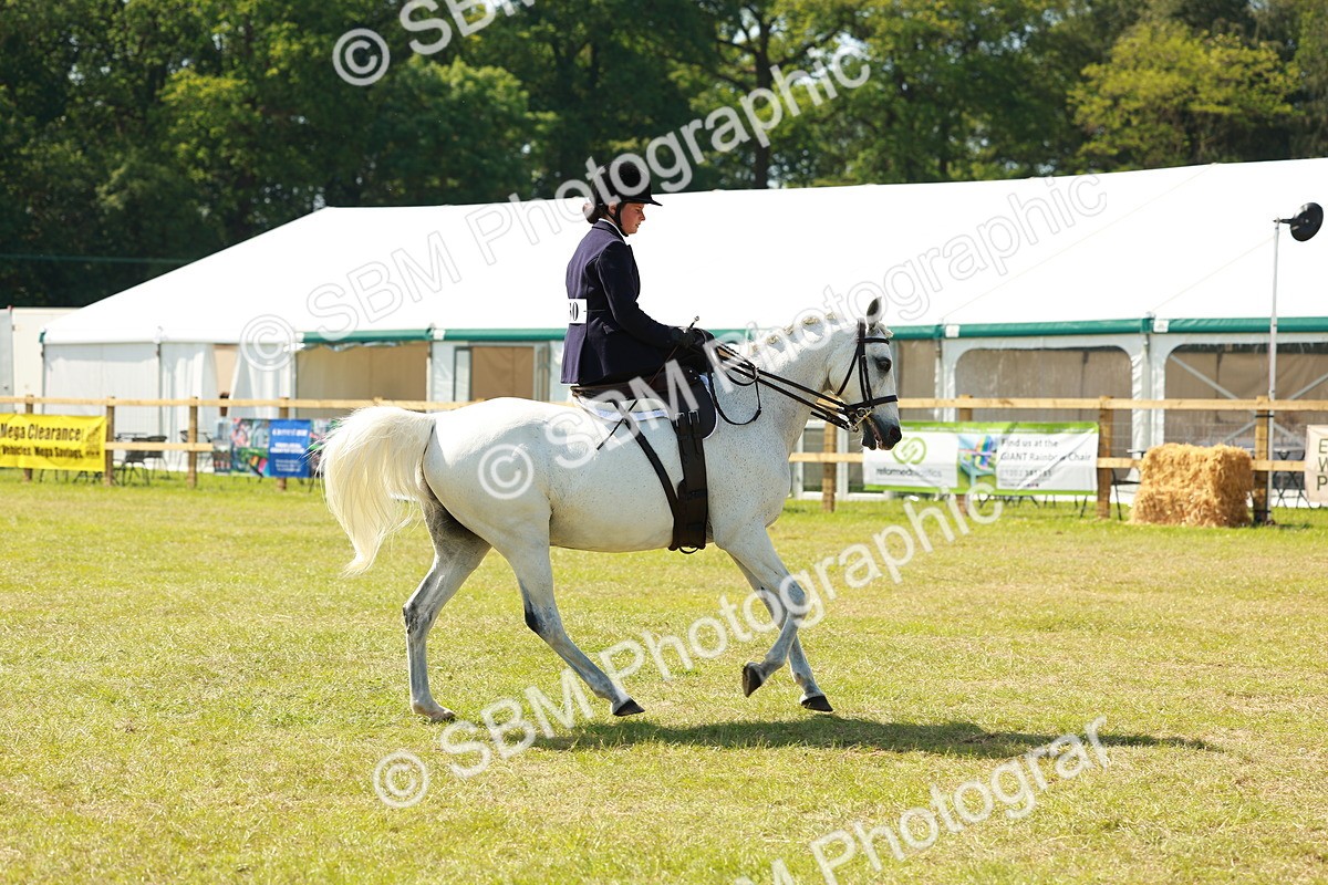 SBM_13356 - Class 70-71 - Side Saddle