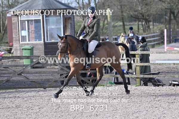 BPP_6731 - RING 1  (RIDDEN HORSES / IN HAND / VETERAN ETC)