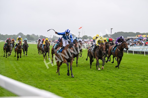 130724-Race 3-Enfjaar-7259 - Race 3 3.10pm John Smith's Cup Handicap