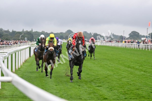 080924-Race 3-Brighton Boy-9051 - Race 3 2.50pm Irish Thoroughbred Marketing Nursery Handicap