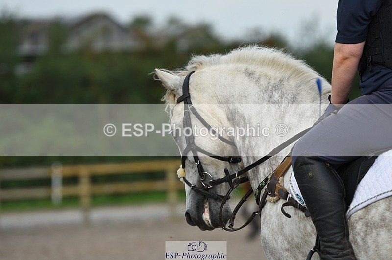 230817-085850-01600 - Kay's 1st Group - Arena