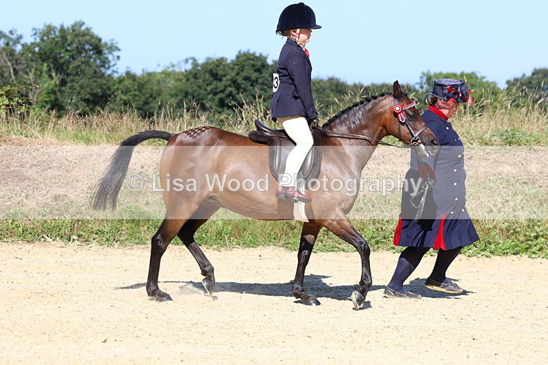 3E7A8021 - Class 15: Lead Rein