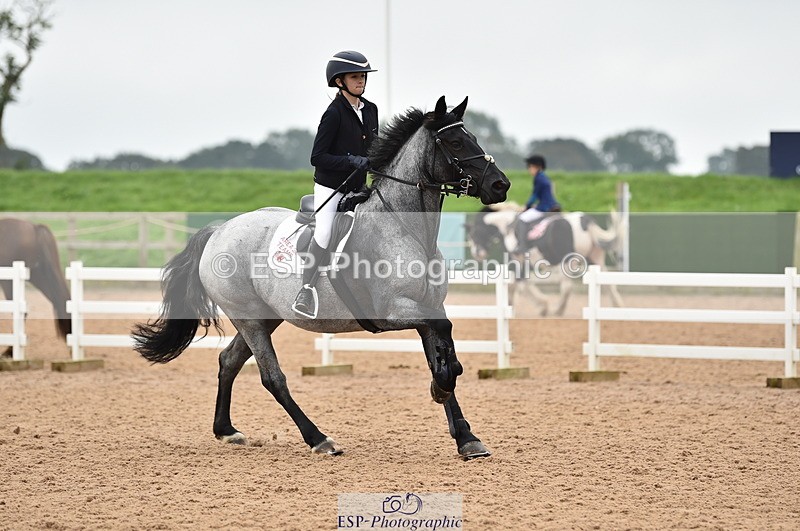230902A-114316-00813 - Cls 2B Pony Small 80cm