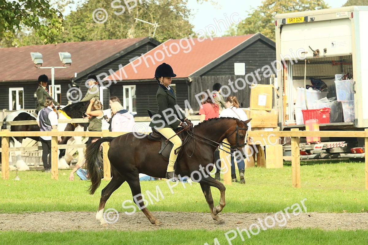 SBM_69031 - S58 - Mini Show Cob Ridden