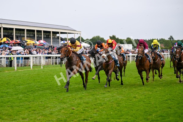 150624-Race 6-Pisanello-7995 - Race 6 4.45pm Ice Co Supporting Macmillan Handicap