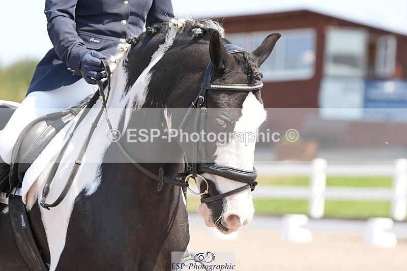 250817-124035-09156 - 114-Stacey.DonnisonPaddy.XIII