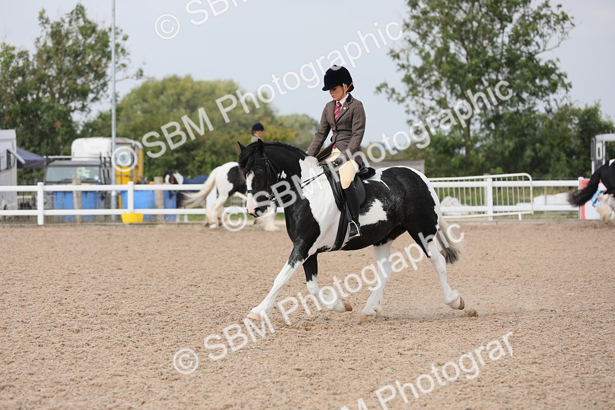 SBM_12695 - Class 307 Ridden Coloured Pony