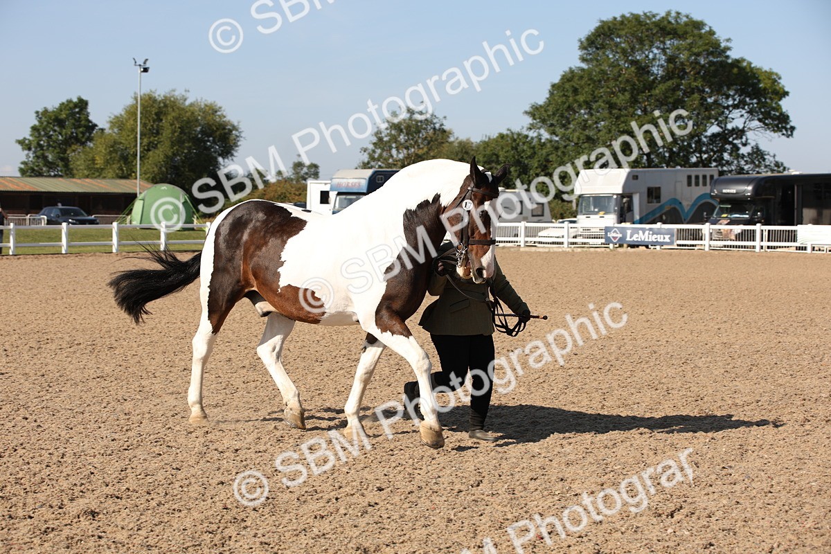SBM_01515