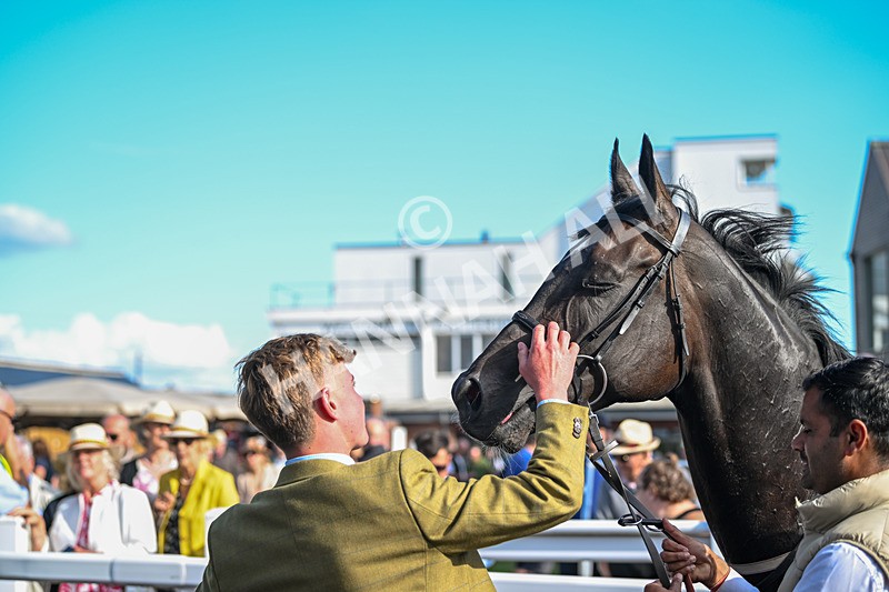 090925-Race 5-Dream Deal-9329 - Race 5