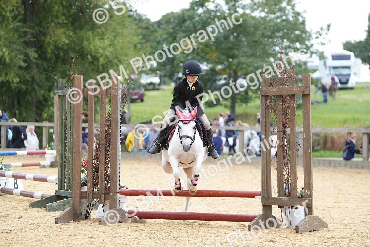 SBM_74651 - J4 - Mini Tour Junior Pony 45cm Championship
