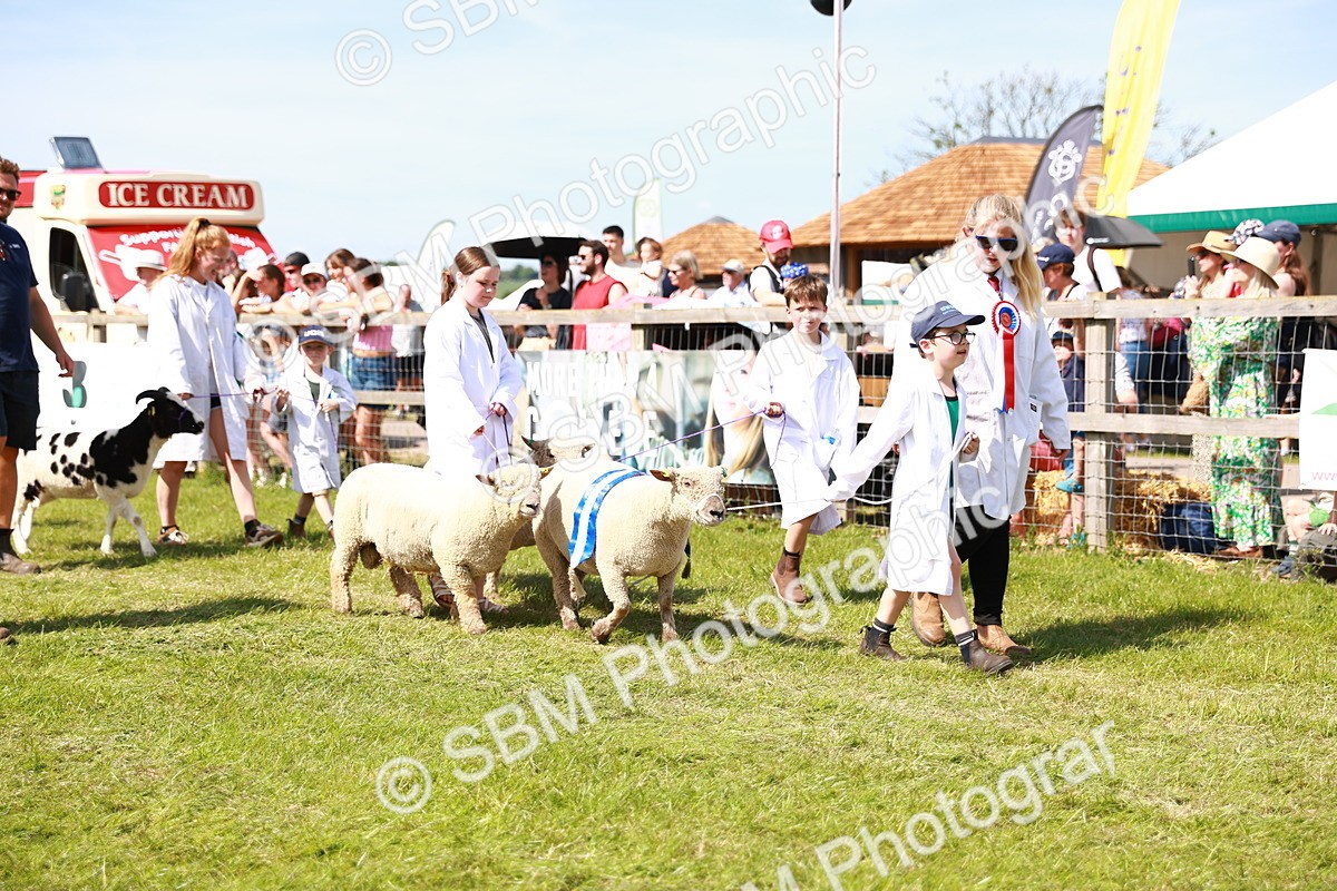 SBM_08300 - Grand Parade