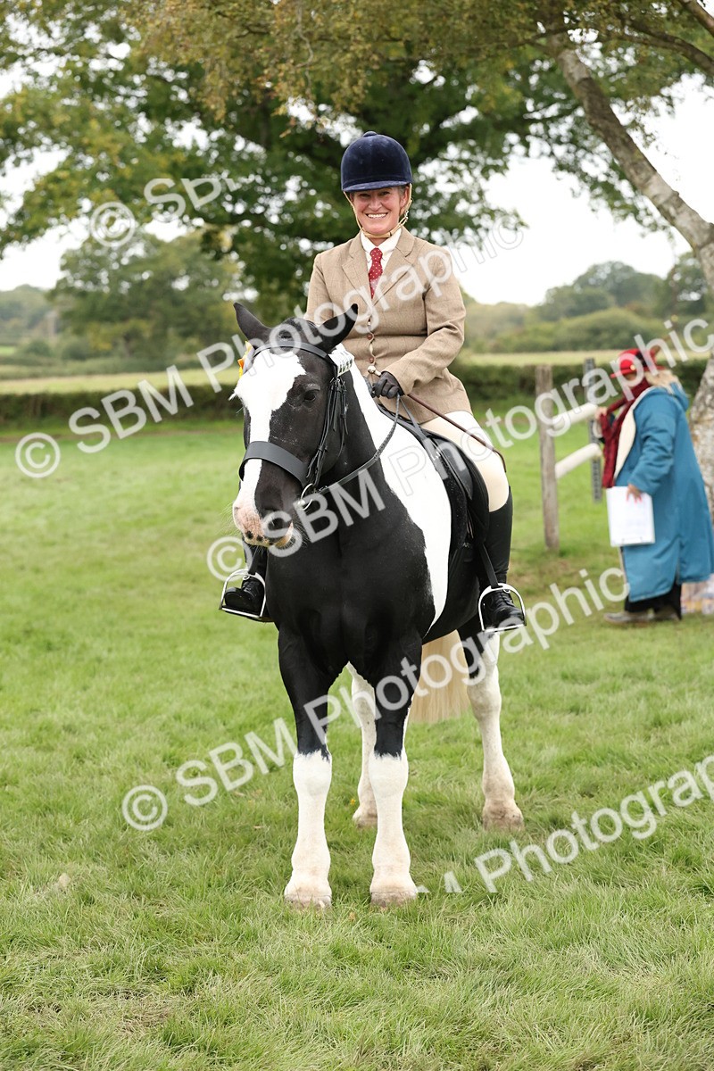 SBM_67316 - S67 - Piebald & Skewbald Horse Ridden