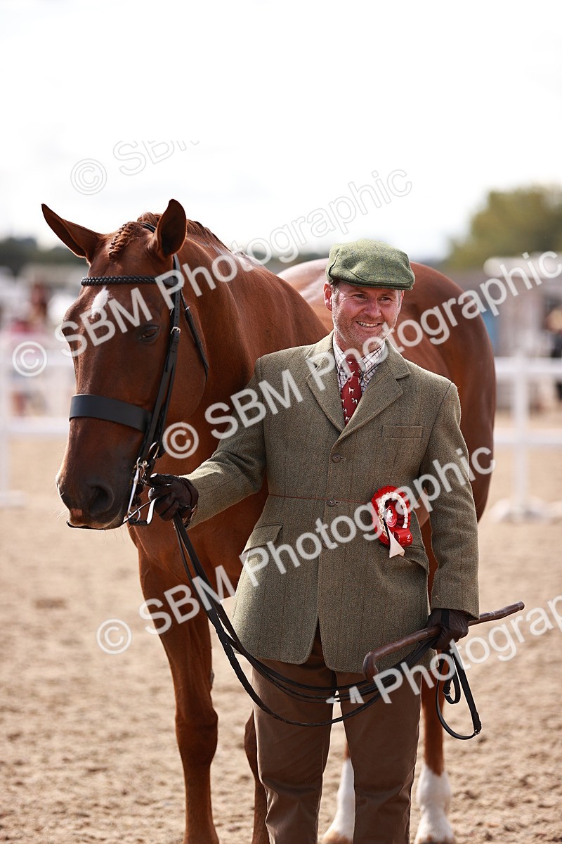 SBM_13370 - class 406 - IH Hunter