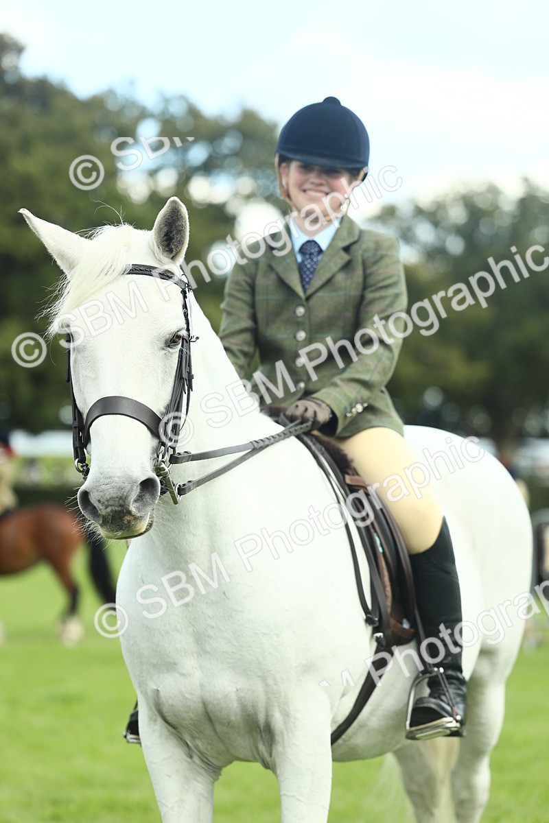 SBM_42221 - S29 - Novice & Newcomers Working Hunter Pony