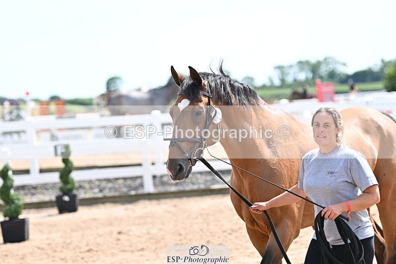 240717A-150337-02498 - Trot Up 3pm to 4pm