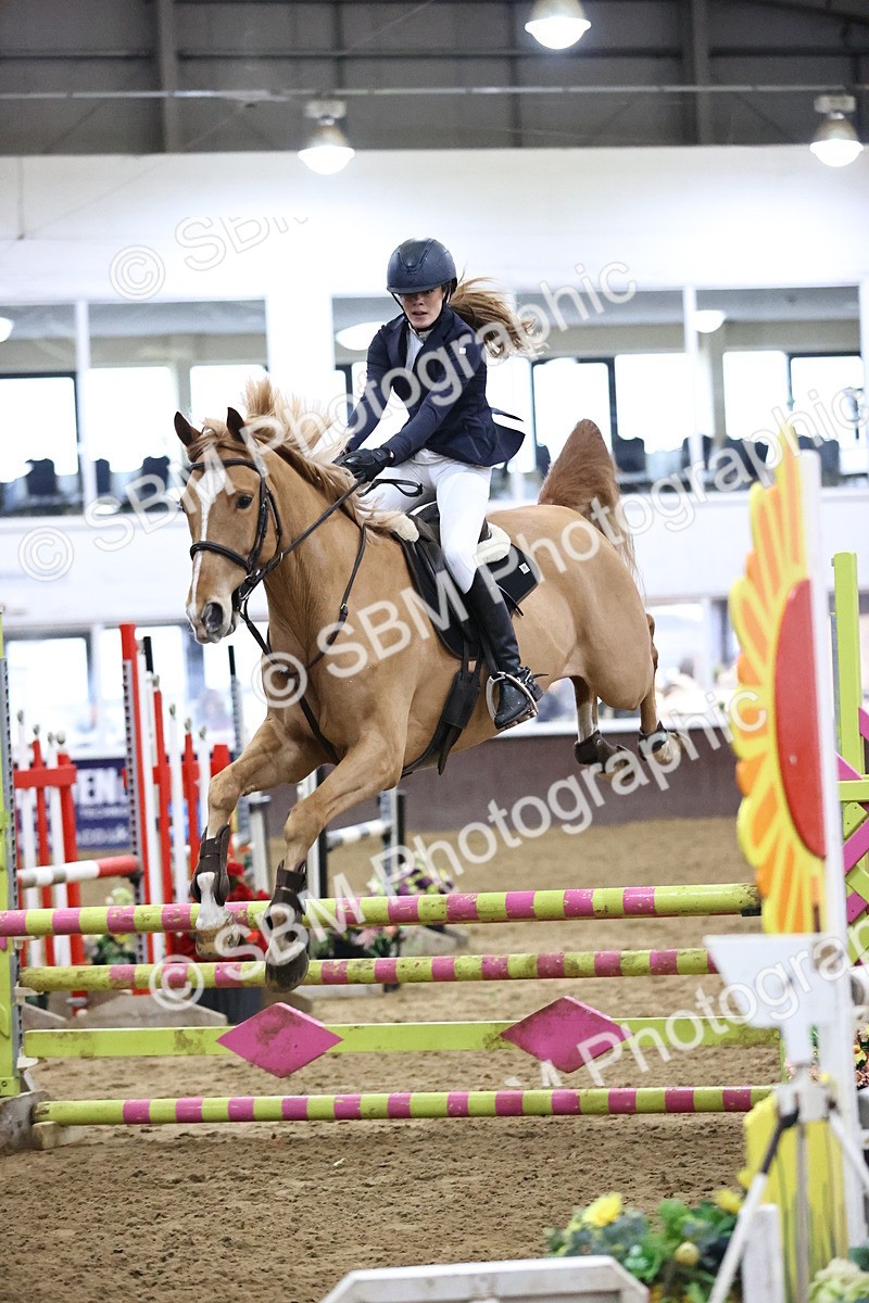 SBM_009107 - Class 20 - Senior British Novice - 80cm