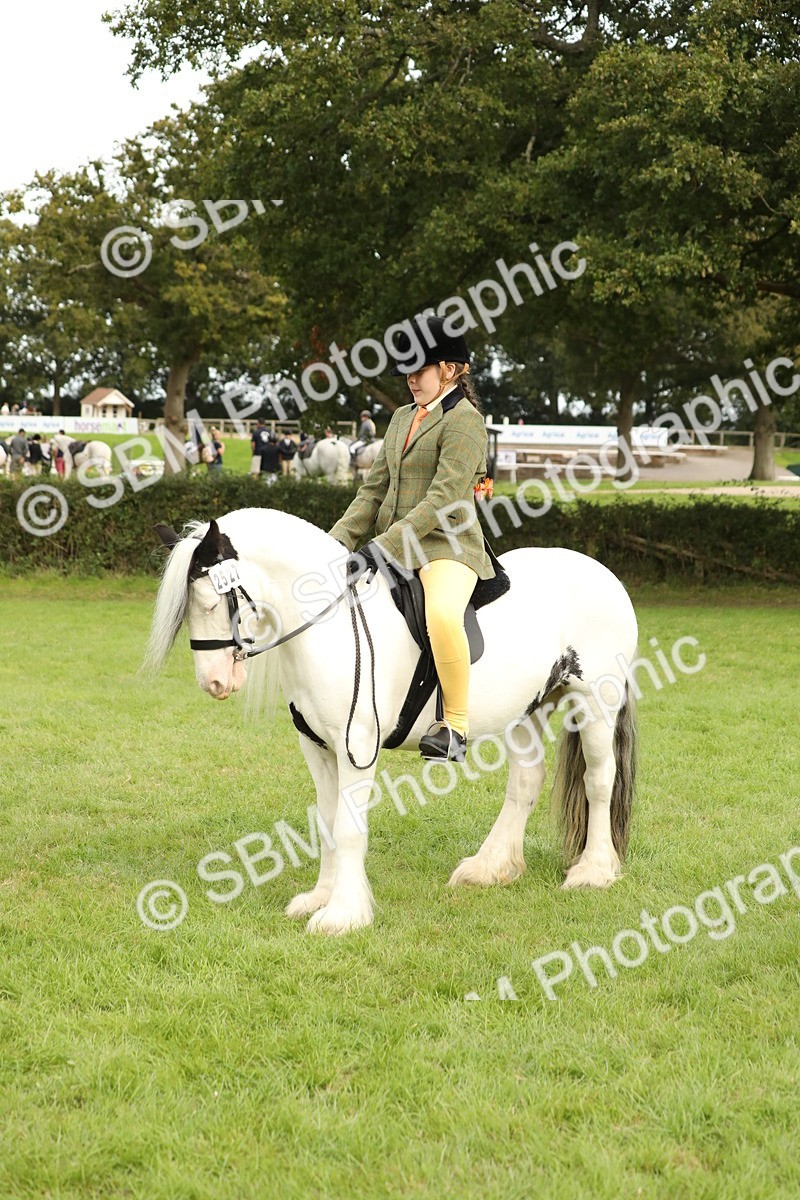 SBM_71560 - S41 - Ridden Equitation (Best Rider)