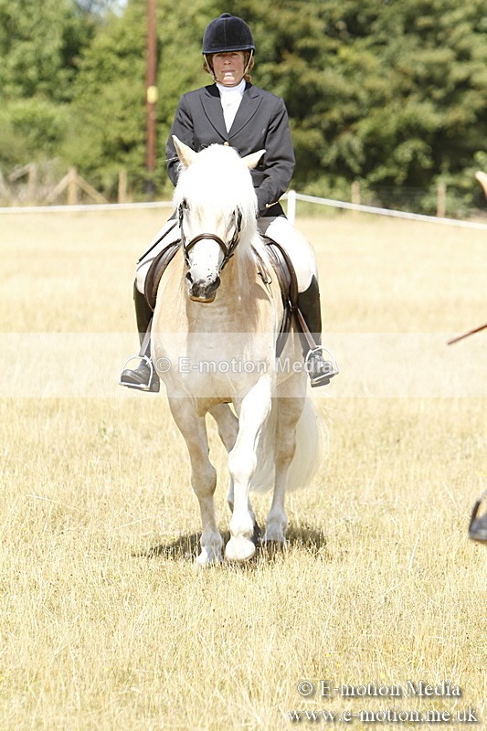 _BS_0703 - BVRC Show 2018 Ring 1