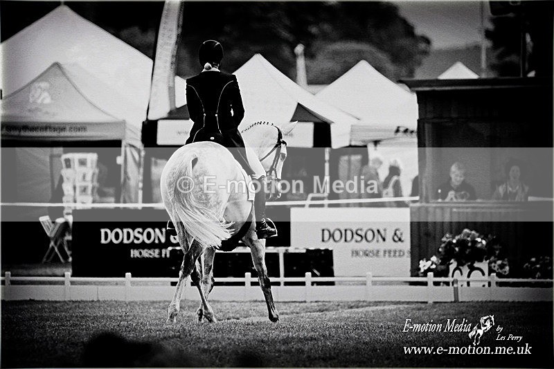 DR 110518_784a - B & W photography