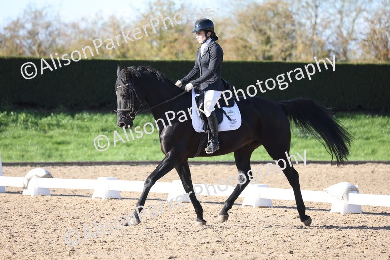 20251102-0760 - Class 4 - Novice 6