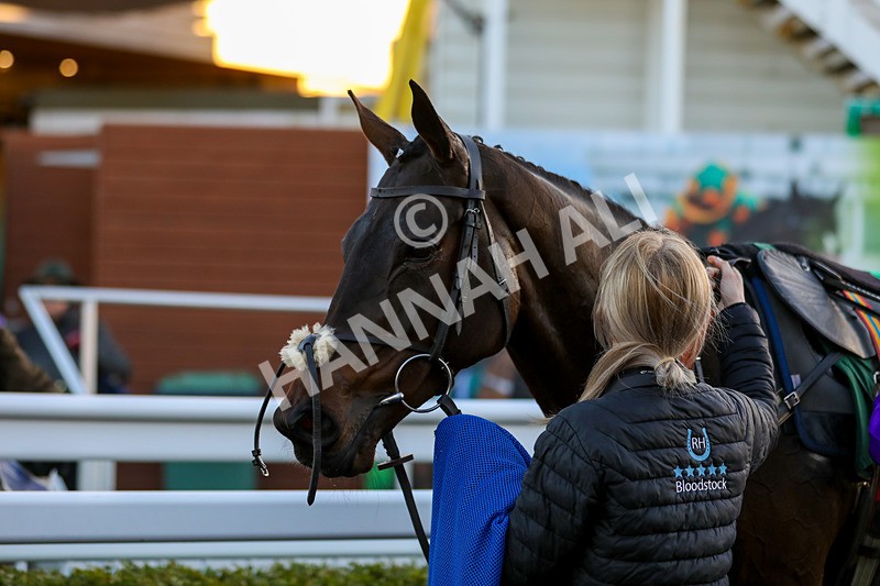 241123-Race 6-Some Scope-1410 - Race 6