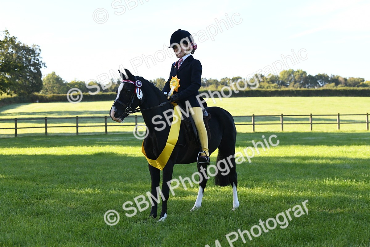 SBM_34098 - S16 - Condition & Turnout - Ridden