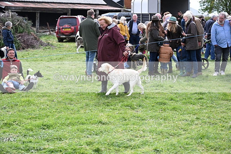 WJ6_8281 - Class 4 Prettiest Bitch