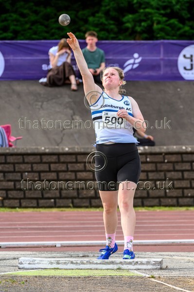 Sen25SUN-929699 - Field Female Set Two