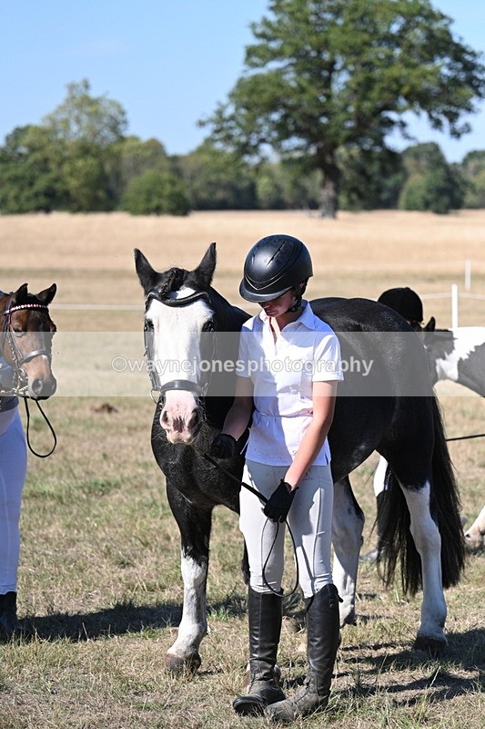 WJ7_1906 - Class 43 Best Six Legs (In hand)