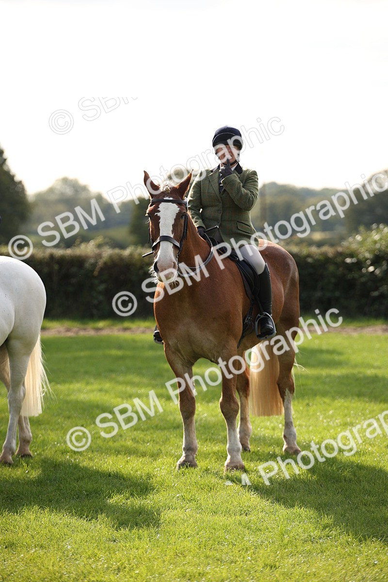 SBM_50147 - S26 - Young Veteran - Ridden
