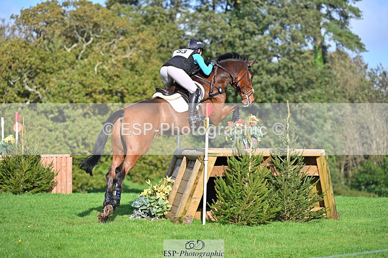 241025-112934-06724 - 053-Lois.Teal-Z7.CATASTROPHE