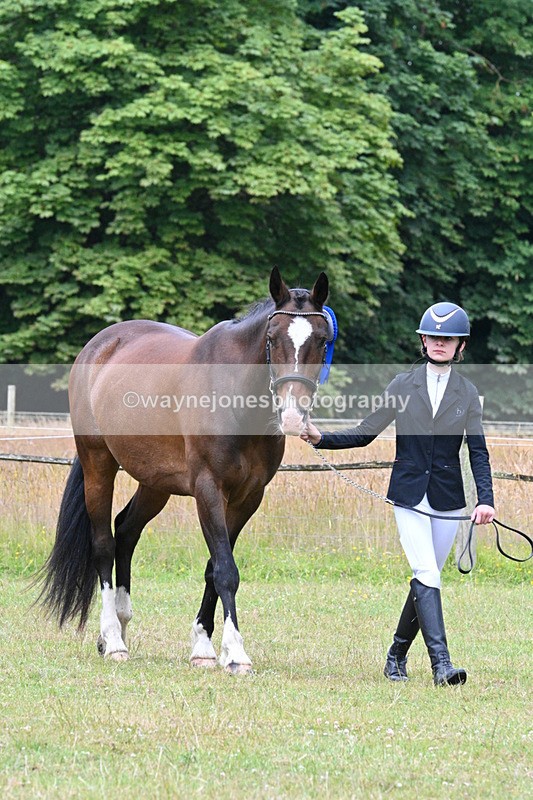 WJ7_7252 - Champs