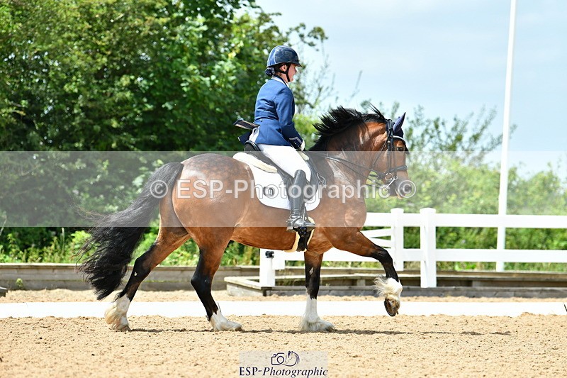 230702A-141129-10600 - Cls 32 Medium 73