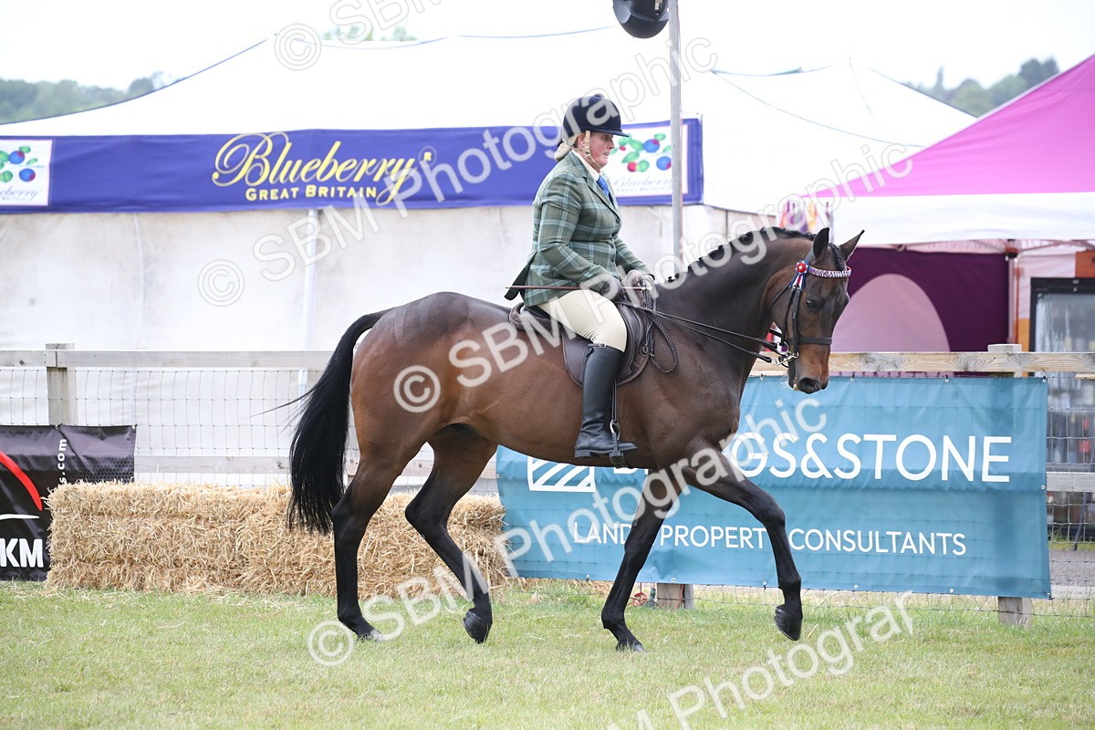 SBM_11404 - Class 94 - LIHS BSHA Racehorse to Showhorse