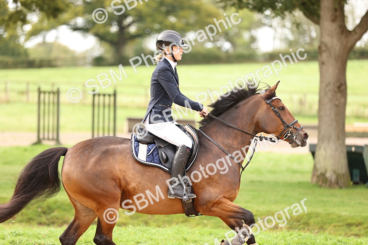 SBM_58418 - J41 - Grand Tour Horse & Pony 95cm