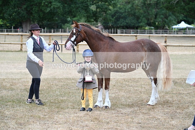 WJ7_9376 - Prettiest Mare Champs