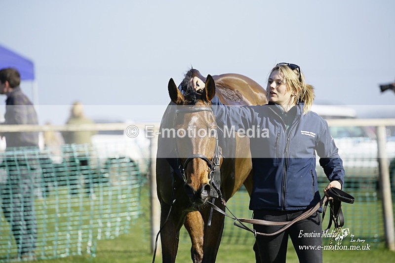 PtP 190322 619 - Wilton Hunt PtP Milborne St Andrew 19/03/22
