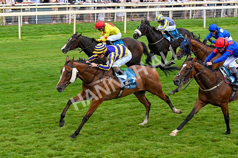 250726-Race 4-Dwindling Funds-7503 - Race 4 15.05pm Sky Bet For The Fans Handicap