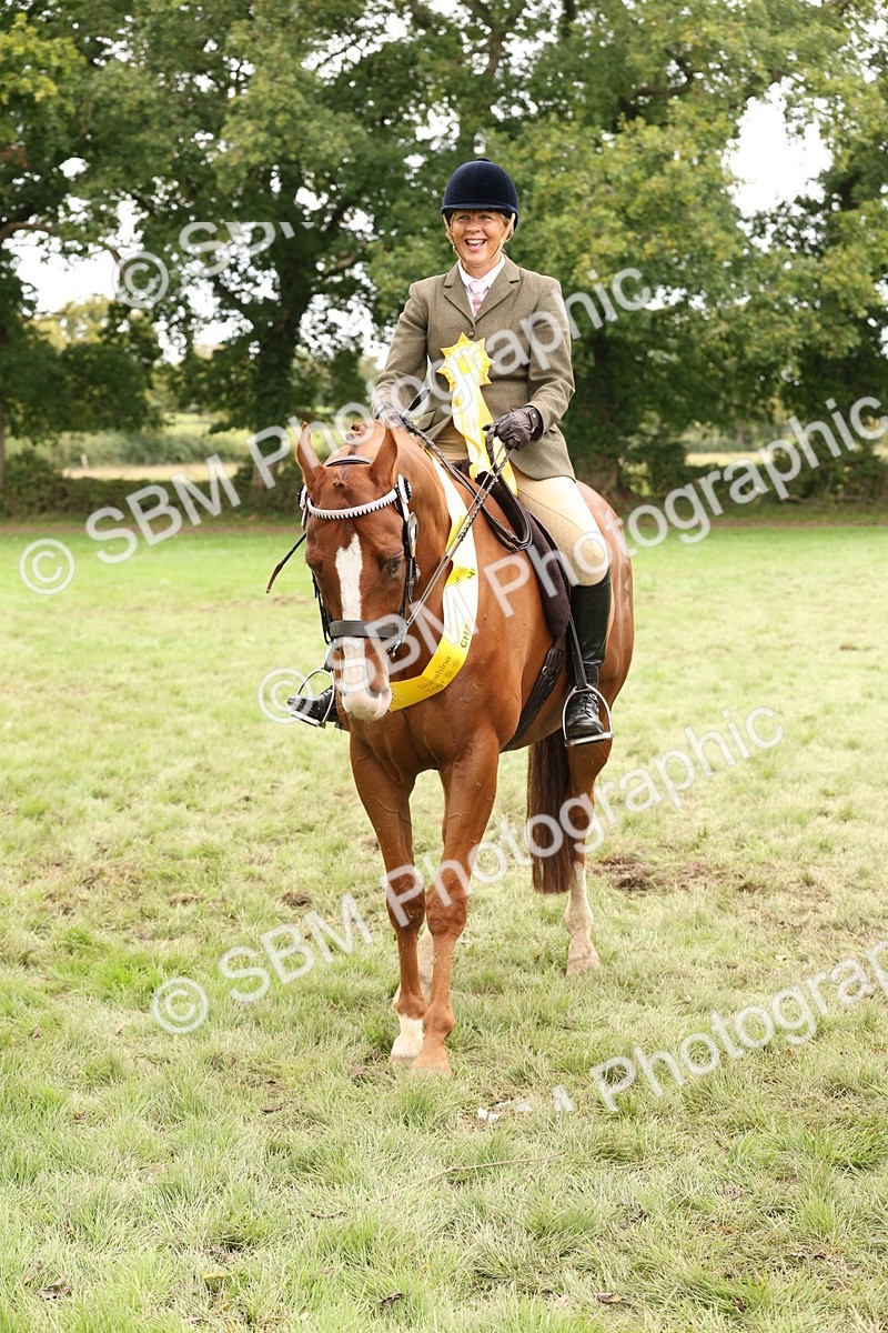 SBM_64332 - S65 - Riding Horse & Hack & Thoroughbred Ridden