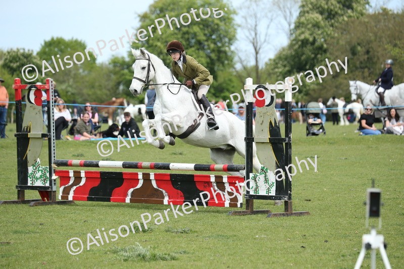20260426-2069 - Class 15 - Absolute Novice 70cm