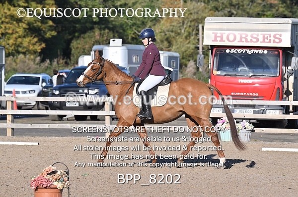 BPP_8202 - SHORT ARENA