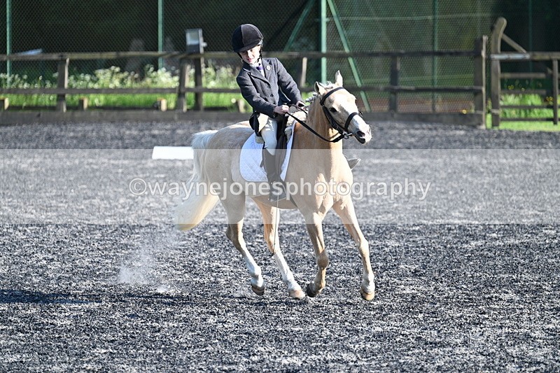 WJ7_4612 - Class 2 Prelim 1