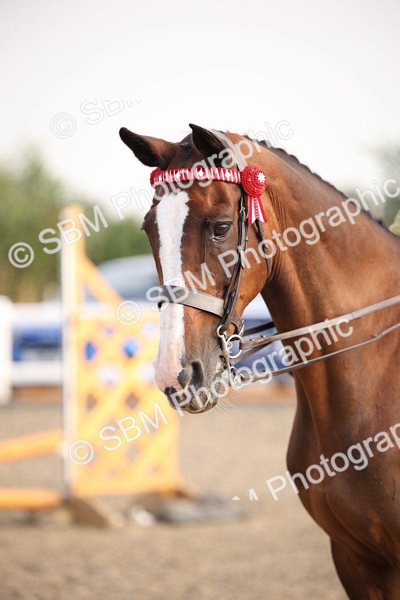 SBM_10255 - Class 402 Riding Club Horse