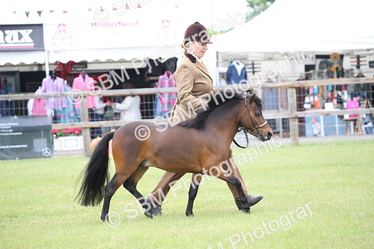 SBM_03690 - Class 23-25 - British Miniature Horse of the Year