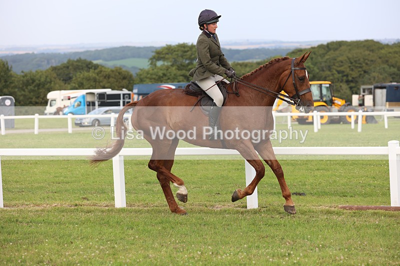 JPP_4435 - Class 26: Working Hunter 1m