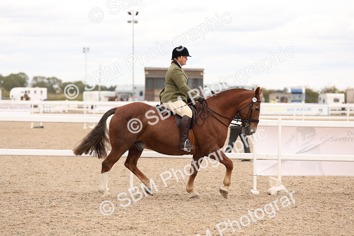 SBM_19509 - Class 215 - Ridden Show cob