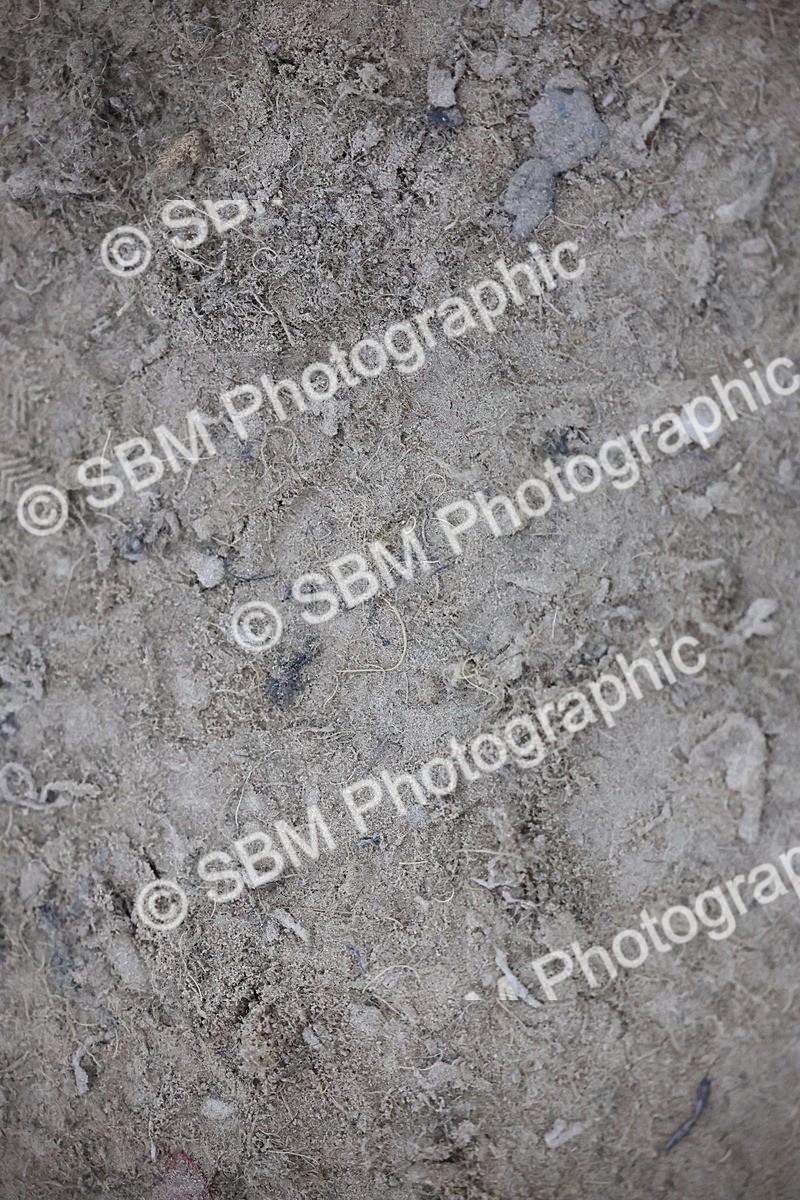 SBM_006336 - Evening Performance